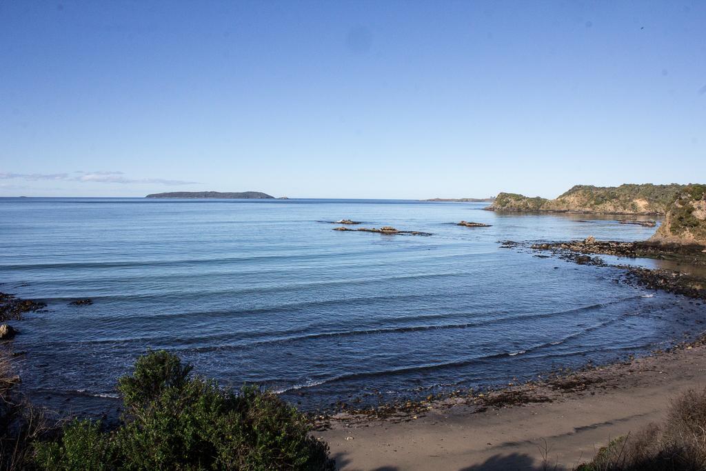 Kowhai Lane Lodge Half-moon Bay Zewnętrze zdjęcie